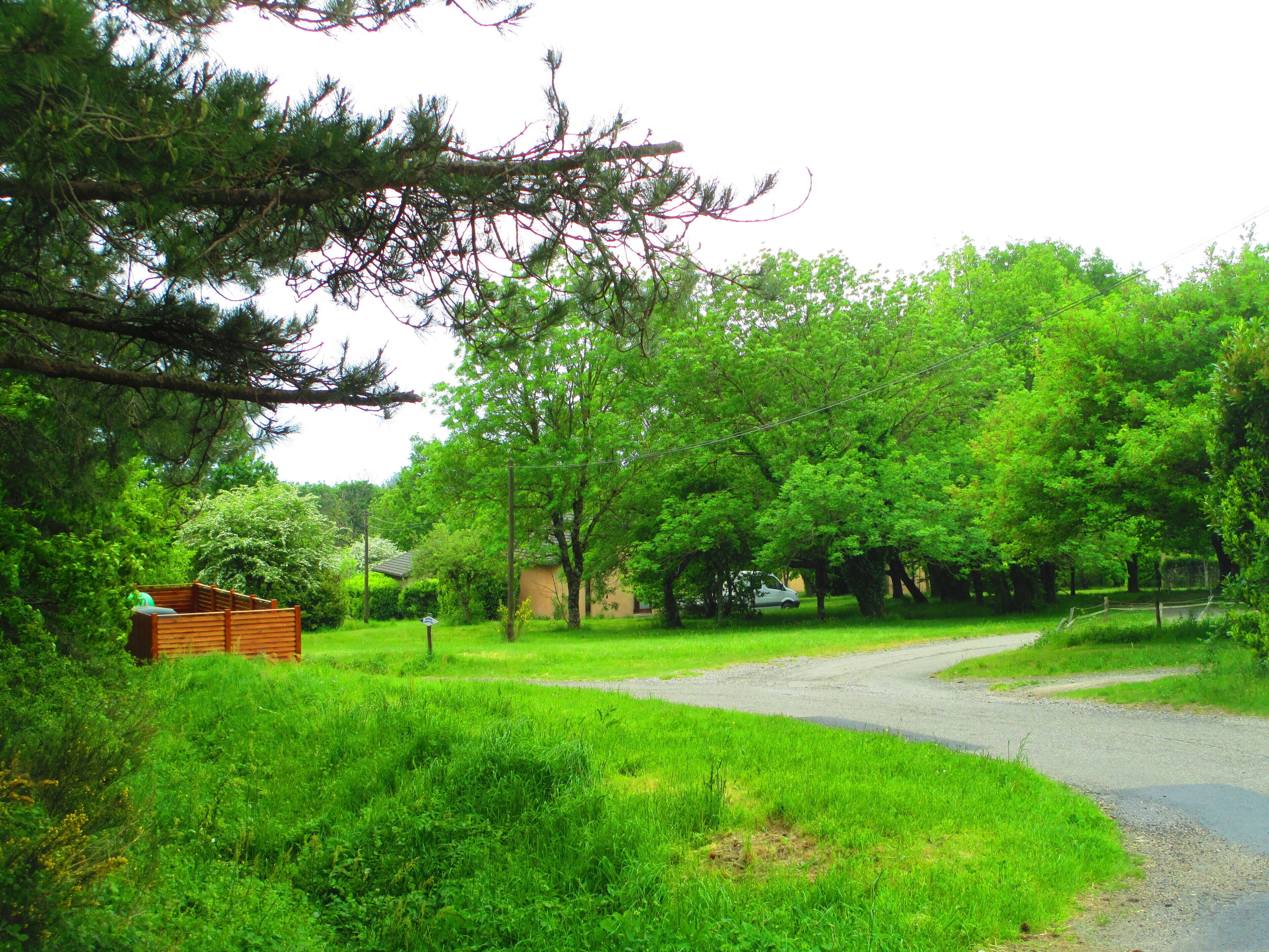A rural road curving through a lush green landscape with trees and a wooden bench.