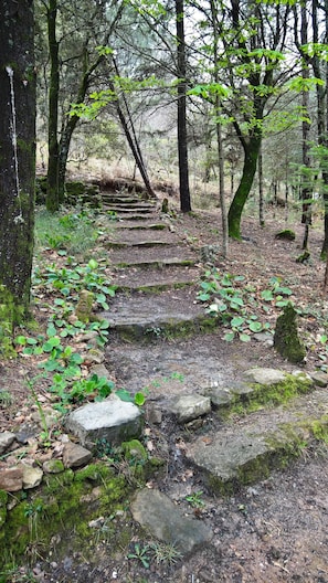 Terrain de l’hébergement 