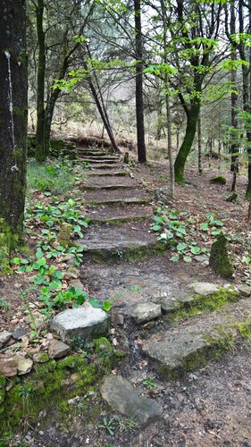 La Chênaie location touristique en Cévennes classée 3 étoiles