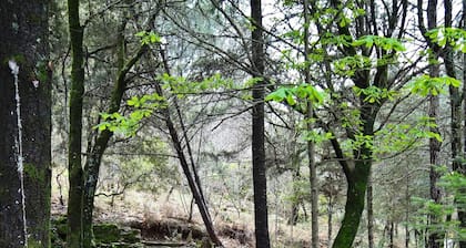 La ChĂȘnaie location touristique en CĂ©vennes classĂ©e 3 Ă©toiles