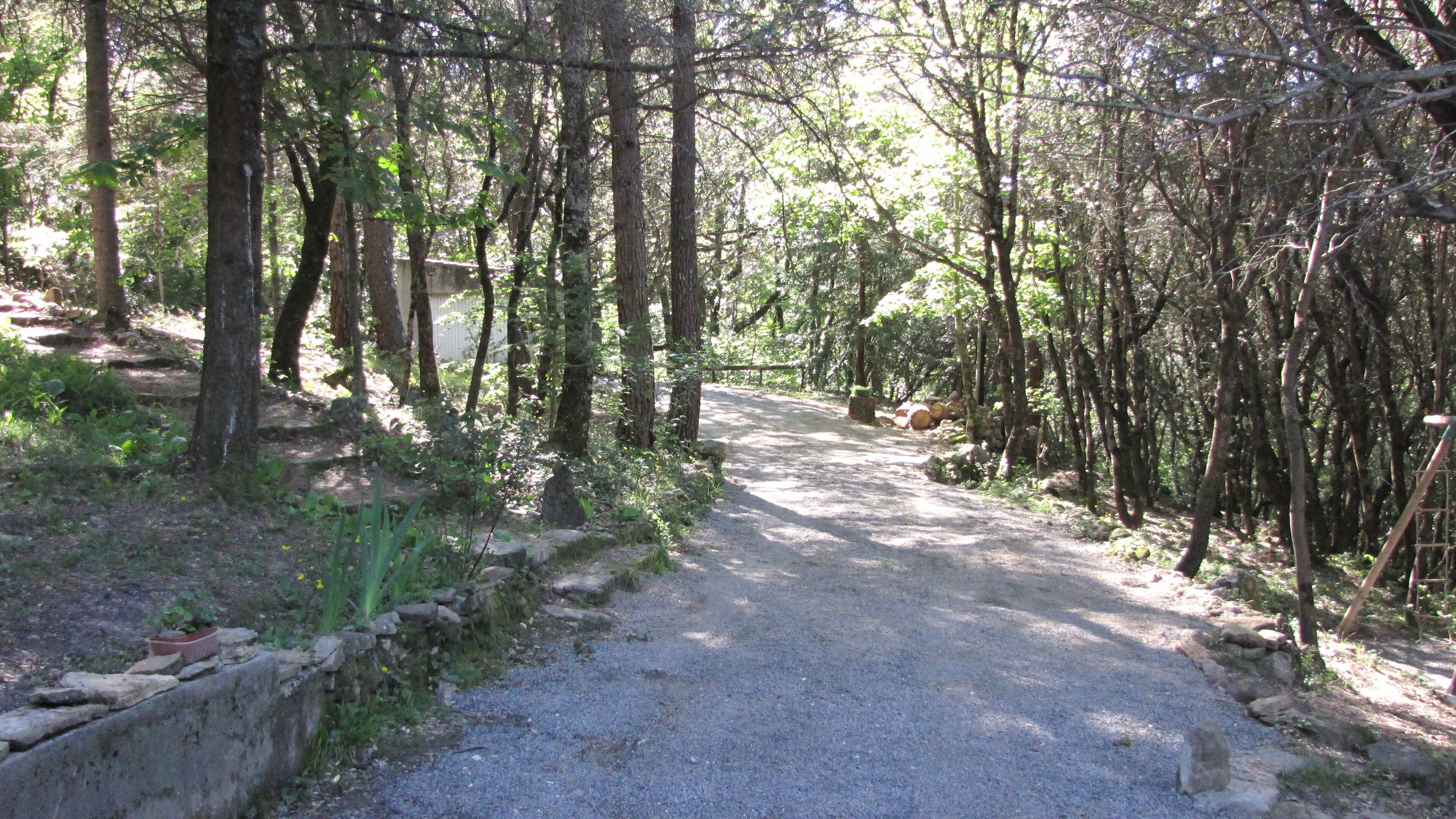 Un sendero de grava en un área boscosa con árboles a ambos lados.