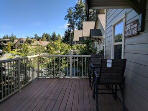 Terrace/patio - 3 bed 2 bath, Wifi, Cable, Pool/Hot Tub, BBQ, Mini Golf, Beach, license#00005785 (Parksville)