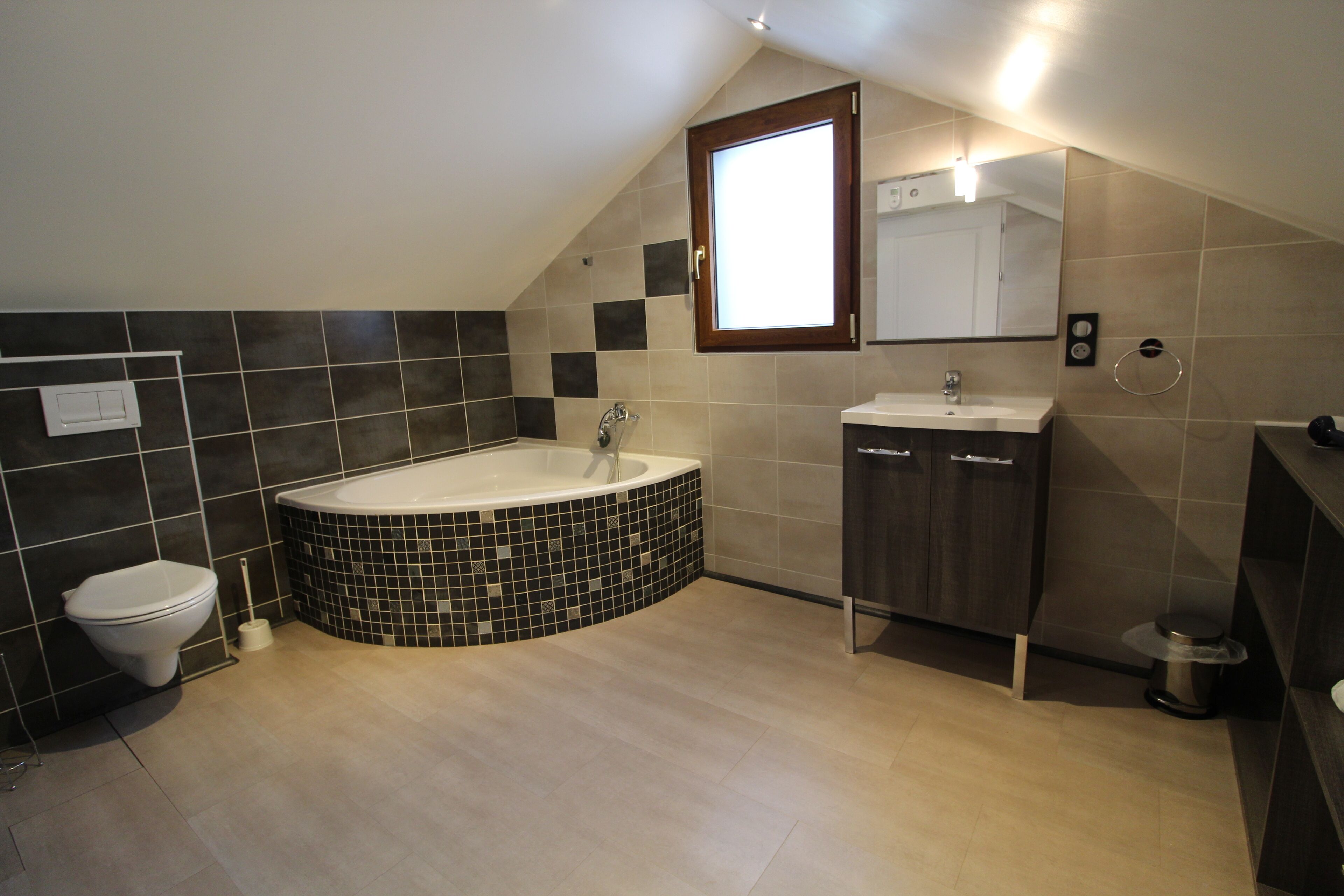 Bathtub, hair dryer, soap, toilet paper