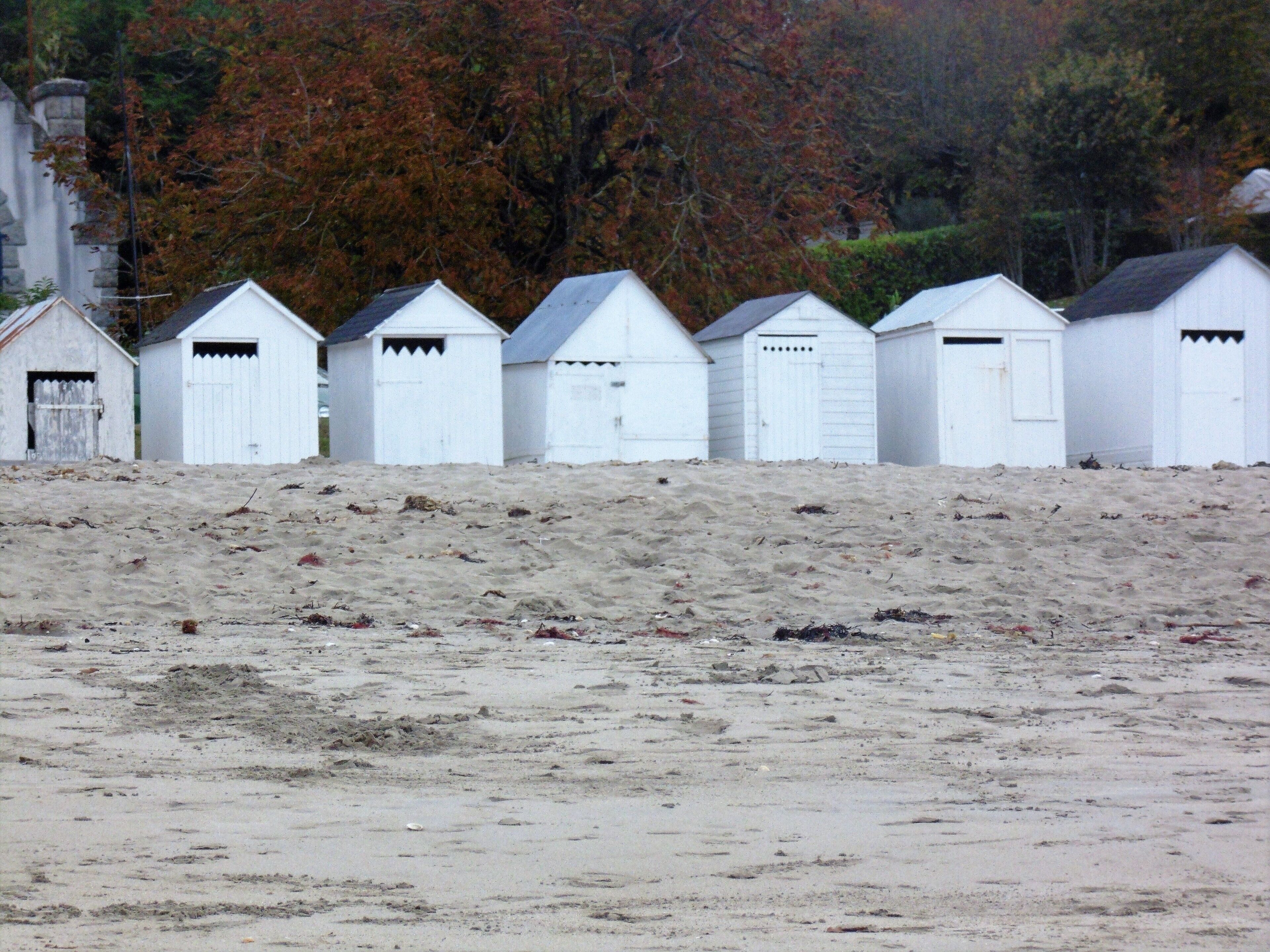 A row of white beach huts with a sandy foreground and autumn-colored trees in the background.