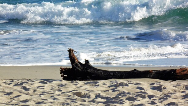 A beach with a driftwood log in the sand and waves crashing onto the shore.