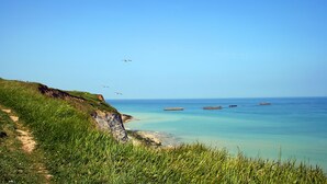 Un paysage côtier avec un sentier herbeux menant à la mer, un ciel dégagé et quelques oiseaux qui volent.