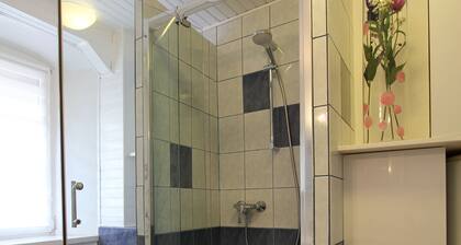 Cottage "L'Ecrin" in the heart of Riquewihr 2-4 people
