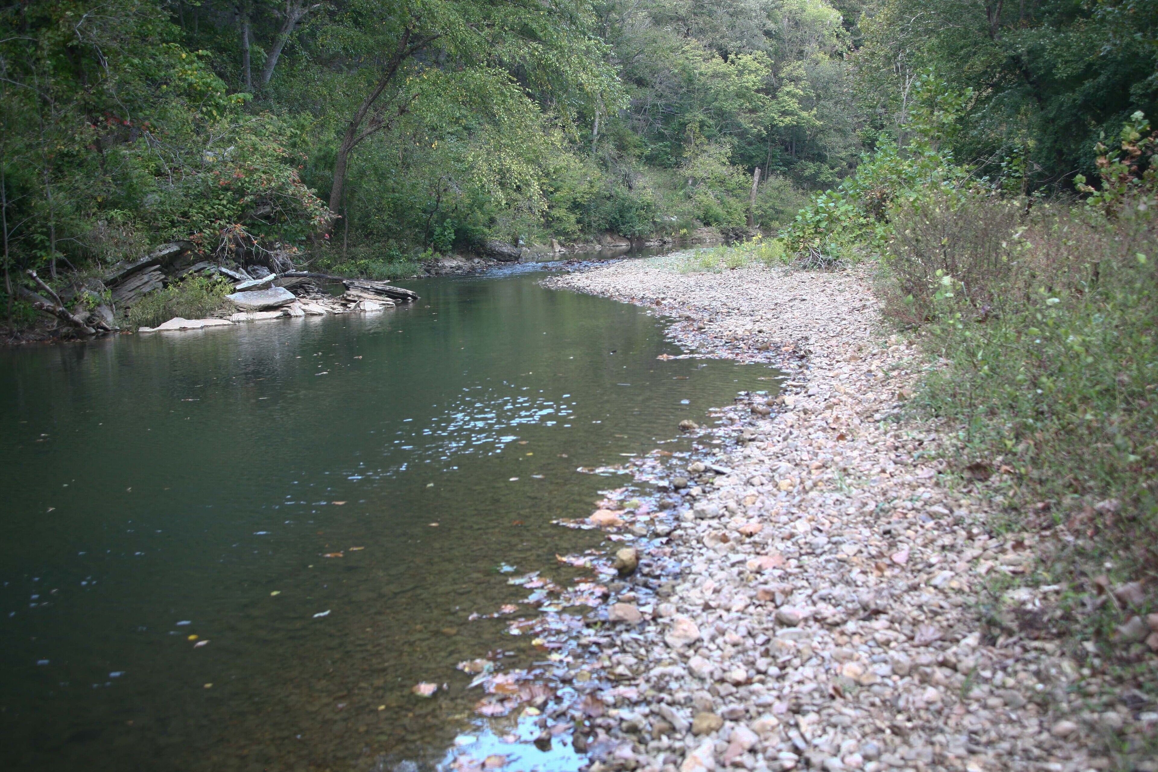 A river with clear water, surrounded by dense greenery and a rocky riverbank.