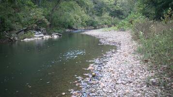 A river with clear water, surrounded by dense greenery and a rocky riverbank.
