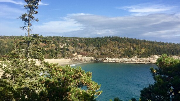 Un paysage côtier avec une plage, une forêt dense et un ciel bleu clair.