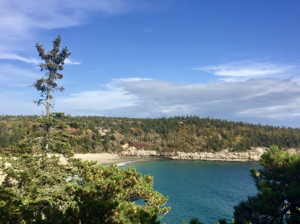 In Strandnähe, Strandtücher