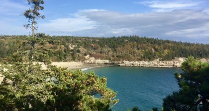 TALOUDEN UUDISTAMINEN Acadian kansallispuiston ❤️ / metsämarjoja 3 hehtaarilla!