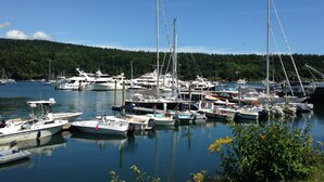 Un port de plaisance où sont amarrés différents types de bateaux, entouré d’une zone boisée.