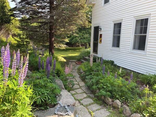 A garden pathway leading to a white house with a stone border.