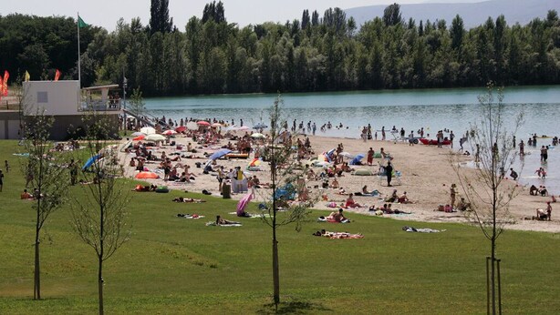 En overfyldt strand med folk, der solbader og svømmer, omgivet af træer og vand.