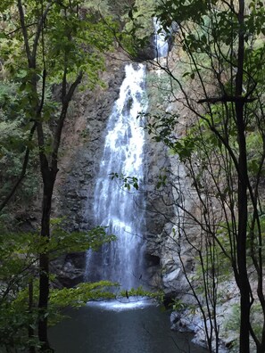 Ein Wasserfall, umgeben von Bäumen.