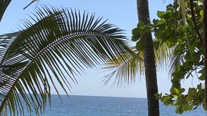 Eine Strandansicht mit Holzkufen und einem Tisch, Palmen und Blick auf den Ozean.