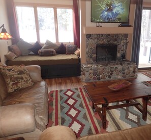 Smart TV, fireplace, books