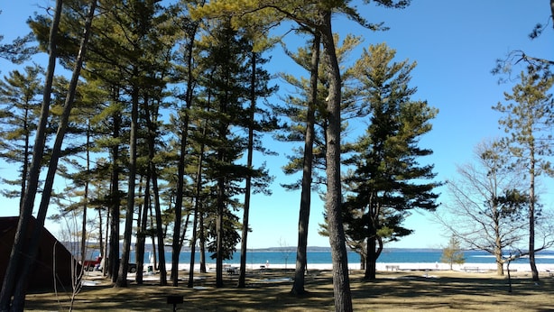 A park with tall pine trees, a bench, and a view of the sea. - Modern Mid-Town  Condo (Downtown Traverse City) (Traverse City)