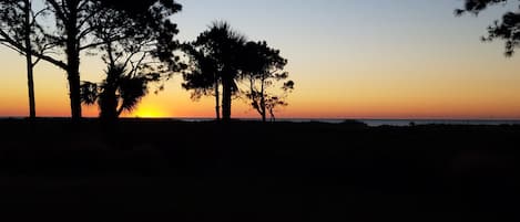 A silhouette of trees against a sunset.