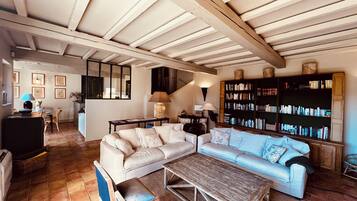 TV, fireplace, books, music library