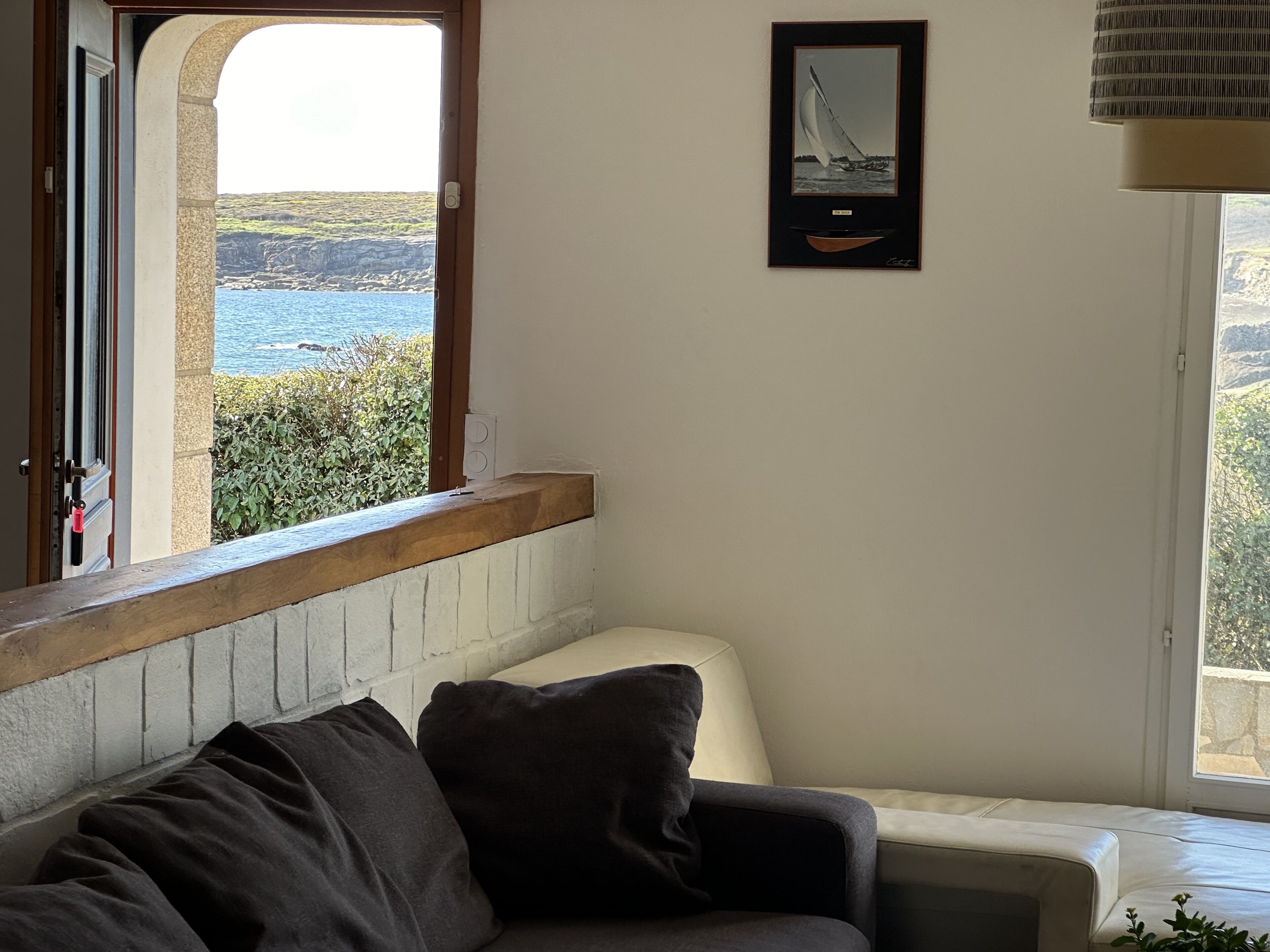 Télévision, cheminée, table de tennis de table, livres