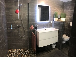 Shower, hair dryer