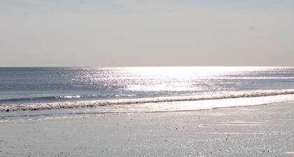 Aug-Oct Avail Waterfront 4B 2B Home 1 block to the beach