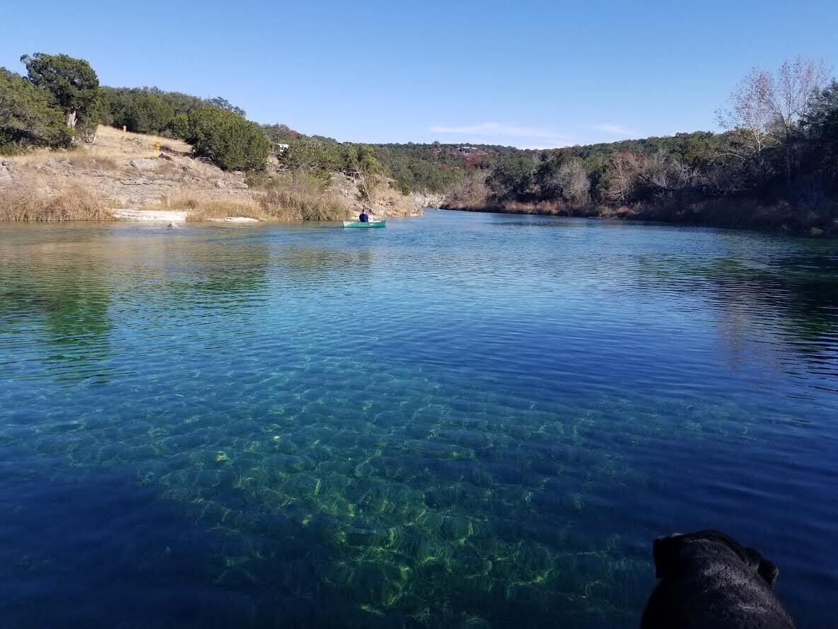 A clear river with a boat and a dog in the foreground.