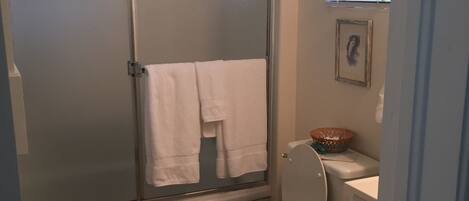 A bathroom with a shower enclosure, toilet, and a small window.
