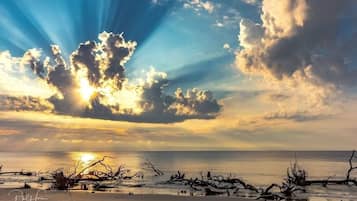 Serviettes de plage