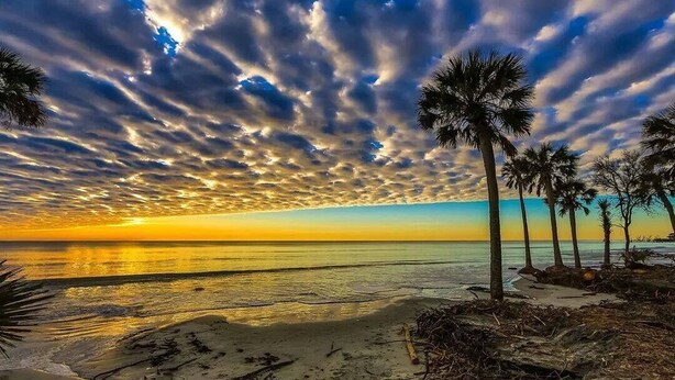 Ein Strand mit Palmen und einem Sonnenuntergang.