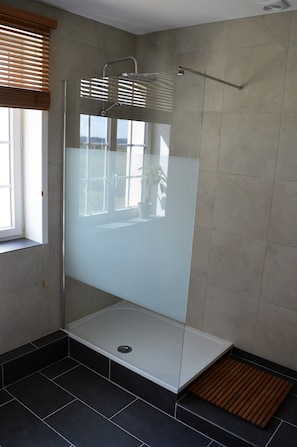 Shower, hair dryer, towels, toilet paper