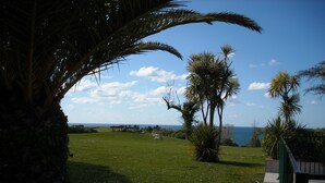 A grassy area with a bench and palm trees, overlooking a body of water.