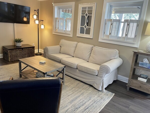 Smart TV, DVD player, books