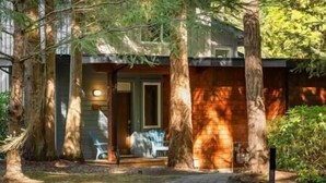 Une cabane dotée d’une véranda, entourée d’arbres, et un sentier menant à l’entrée.