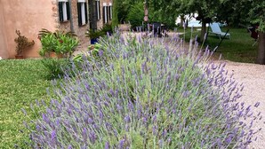 En byggnad med en fasad av sten, en trädgård med lavendel och utsikt över ett berg.