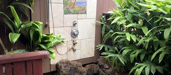 Utrolig følelse av gammelt Hawaii, kunstnerens hus