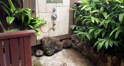 Unglaubliches Gefühl von Old Hawaii, das Haus des Künstlers