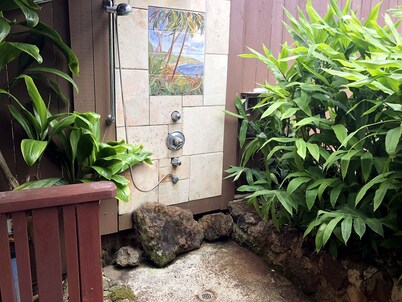 Lana’i Oasis and Gem, The Artist's House