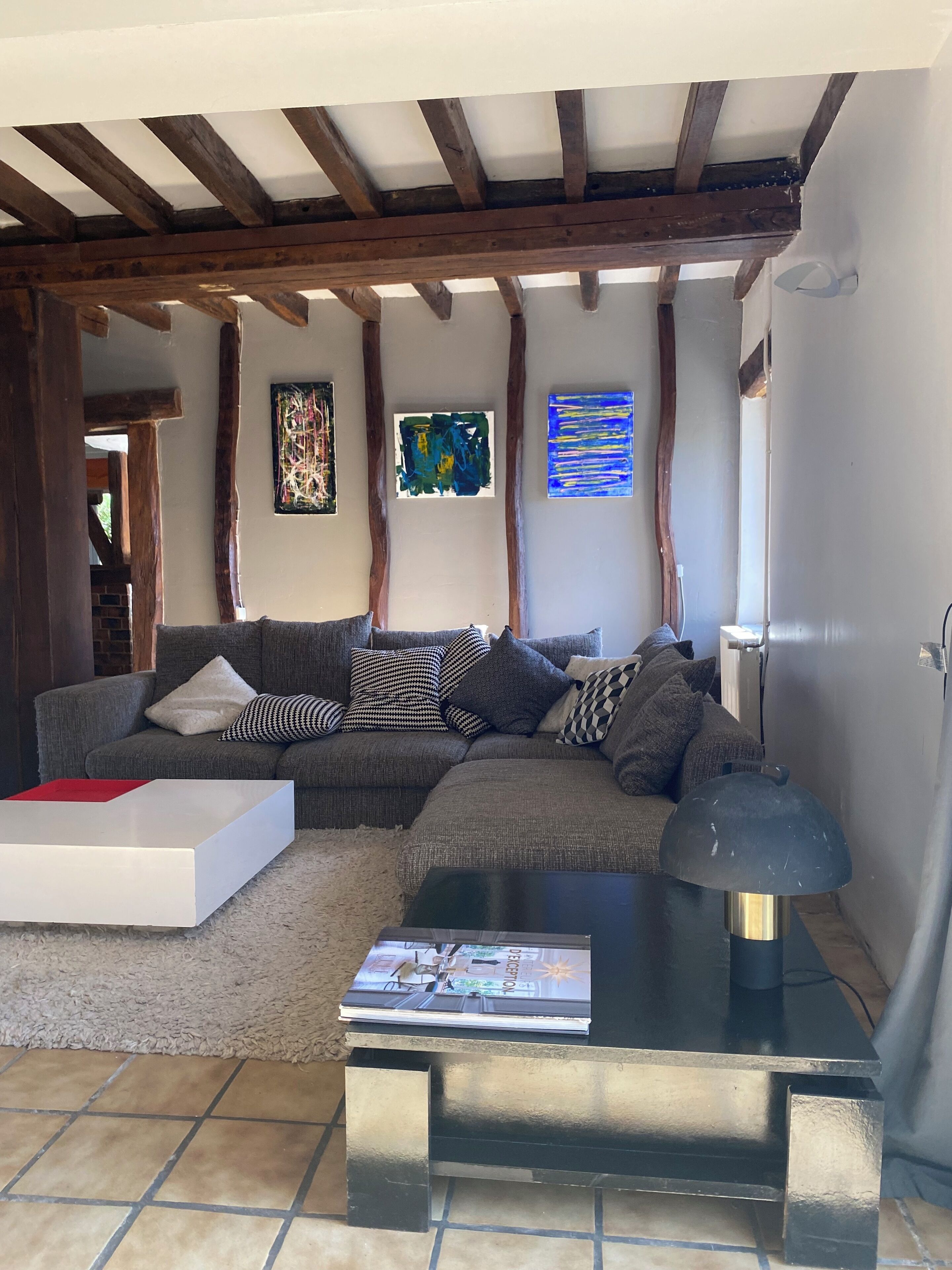 TV, lareira, DVD player, livros