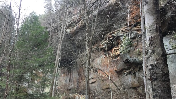 Une falaise rocheuse, parsemée d’arbres, avec une structure en bois.