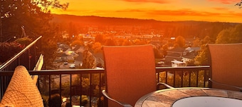 2000sf Decks, Waterfall, Hot Tub, Gym, Newly Remodeled Kitchen, Movie/Game room