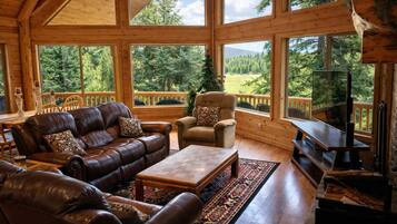 Smart TV, fireplace, video games, DVD player