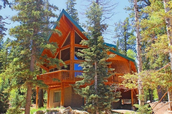 Front of the log cabin that faces the meadow.