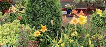 Bear House 1890, Stinson Suite, Perfect Getaway, Walk to Cafes, Outdoor Activity