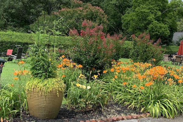 Terrein van de accommodatie