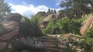 Ambiente natural ao ar livre com um caminho de pedra serpenteando por terreno rochoso, cercado por vegetação e árvores.