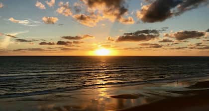 DIRECT OCEANFRONT Luxury & Modern HIGH FLOOR Condo