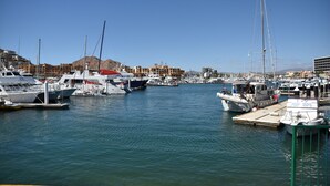 Un puerto deportivo con varias embarcaciones amarradas, un paisaje montañoso de fondo y edificios a lo lejos.